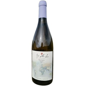 Vinho Verde Traveller BY Elio Lara Sauvignon Blanc Branco 2020 0,75L                                                            