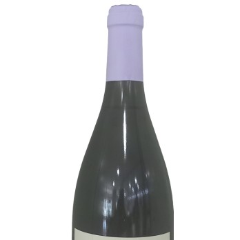 Vinho Verde Traveller BY Elio Lara Sauvignon Blanc Branco 2020 0,75L                                                            