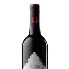 Vinho Verde Ponte de Lima Vinhão 2022 0.75L                                                                                     