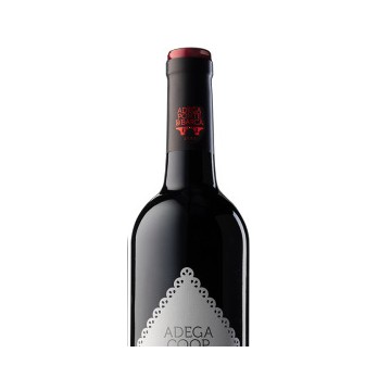 Vinho Verde Ponte de Lima Vinhão 2022 0.75L                                                                                     