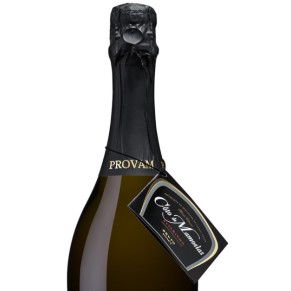 Espumante Coto de Mamoelas Reserva Bruto Branco 0,75L                                                                           