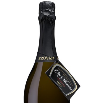 Espumante Coto de Mamoelas Reserva Bruto Branco 0,75L                                                                           