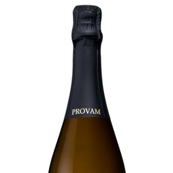 Espumante Castas de Monção Reserva Bruto 0,75L                                                                                  